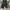 Adidas Short Pants Taped Three Stripes photo 1