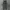 SOVERMENT 98OG PIGMENT SWEATPANTS DARK CHARCOAL photo 3