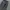 SOVERMENT 98OG PIGMENT SWEATPANTS DARK CHARCOAL photo 4