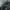 SOVERMENT 98OG PIGMENT SWEATPANTS DARK CHARCOAL photo 7