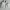Puffer jacket Ambercrombie photo 7