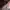 Sling bag shoulder bag Kenneth Cole photo 4