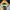 Japanese Renoma Thermal Double Layer Tshirt photo 8