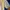 Japanese Renoma Thermal Double Layer Tshirt photo 4