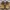 Birkenstock suede boots shoes photo 4