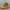 Birkenstock suede boots shoes photo 3