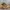 Birkenstock suede boots shoes photo 1