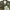 90s Camo Outer Military photo 4