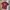 TIMBERLAND ILUSTRATED TEE LOGO BACK photo 1