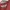 TIMBERLAND ILUSTRATED TEE LOGO BACK photo 4