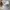 AFFLICTION RHINSTONE CROOSS PUNK HATS MILITARY photo 7