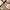 HAPS Man's Short Shirt Open Collar Abstrak Pattern photo 2