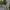 AWESOME APPAREL MILITARY ANORAK PULL OVER HOOD JACKET photo 4
