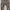 NATIONAL GEOGRAPHIC PATCH LOGO CARGO PANT photo 2