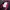 Knitwear Karl Lagerfeld Paris Cardigan Tebal Wanita Motif Sa photo 6