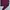 Knitwear Karl Lagerfeld Paris Cardigan Tebal Wanita Motif Sa photo 3
