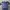 Bellroy Tokyo Backpack Authentic  photo 2