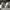 New Balance 327 White Pack (43) photo 3