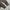 Uniqlo Olive Green Knitwear Basic Sweater Rajut Tebal Pria photo 3