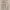 Celana Cargo Wanita Cream High Waist Casual photo 1