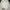 Vintage Y2K High Waisted Jeans Wanita White