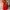 Red Flowy Dress ❤️ photo 2