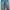Dust Jeans - Size XXXL Kecil photo 1