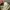 Triffer union made vintage cap hats photo 8