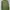 Base Layer Kolon Sport photo 2