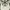 New York Yankees '47 Clean Up photo 4