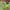 Y2K GREEN NEON SHORTS RIPPED DENIM ALIKE