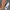 sneakers by raingel photo 3