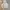 Hoodie Oversize Boxy Abu photo 1