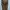 Rare Affliction Bamboo Float photo 1