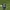 Tampines Rovers FC 2019 Goalkeeper Player Issue #1 Zulfairuu photo 3