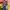 Tampines Rovers FC 2019 Goalkeeper Player Issue #1 Zulfairuu