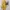 Dress/coat yellow photo 1