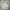 Chasecult flxbl packable jacket photo 2