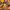 Timberland Earthkeeper Roll Top Boots photo 5