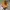 Timberland Earthkeeper Roll Top Boots photo 1