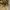 Timberland Earthkeeper Roll Top Boots photo 8