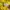 Jersey Dortmund 2021 all original photo 2