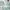 Beanpole Outdoor Sweatshirt Crewneck Hijau Mint Pria/Wanita  photo 1