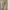 Loewe Cotton High Waist Cargo Pants Size Fit 31/32