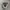 Converse x John varvatos double zipper canvas photo 3