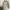 Uniqlo sherpa pile lined cream photo 1