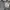 bootcut Full botton fly grey faded denim photo 3