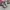 Nike Zoom Vomero 5 Wolf Gray photo 1