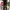 Black jeans by Flaymodel cutbray fit photo 2