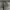 Dickies Double Knee Genuine photo 3